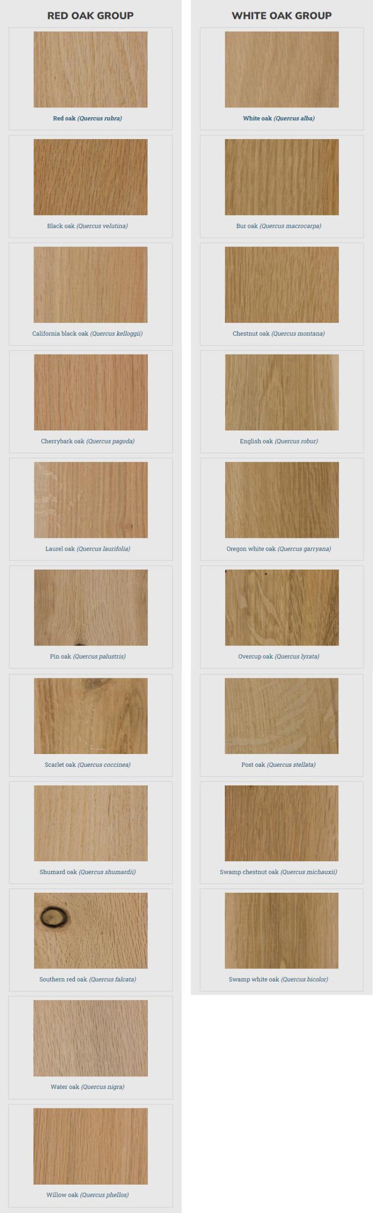 Dyed Veneer White Oak Wood Veneer Supplier-Veneer Hub